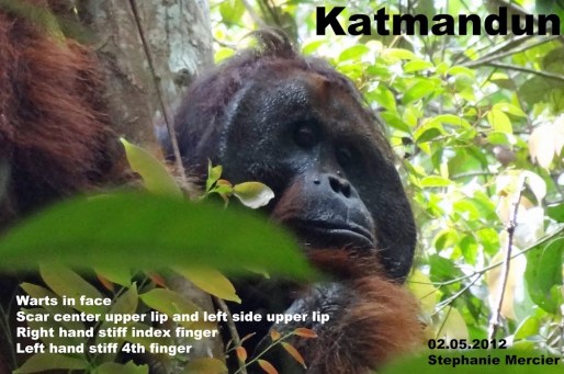 2012.05.02_Katmandun_Stef