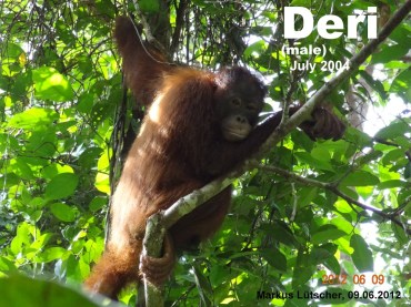 20120609 Deri Markus_edited_1