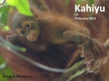 20120629 Kahyu Alie Ashburry