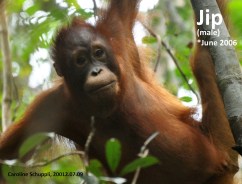 20120709 Jip CarolineSchuppli
