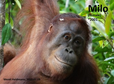 20120709 Milo MeretHeidmann