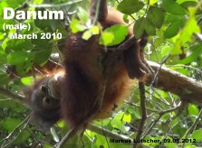 Danum 20120509 Markus_copy_edited-2