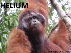 HELIUM