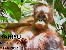 KAHIYU