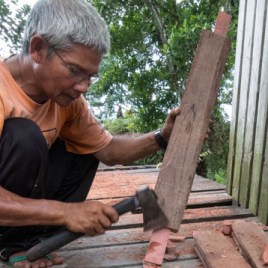 Pak Nadi