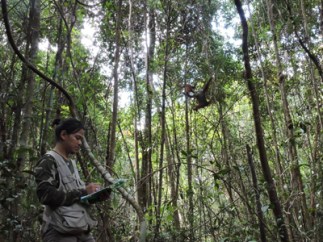 camp_didik_400x300