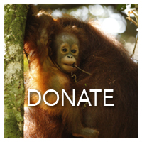 Donate