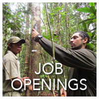 Job Openings