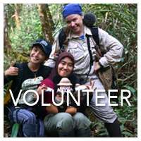 Volunteer