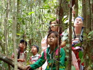 EE Forest Walk Sep 2014_rejpg